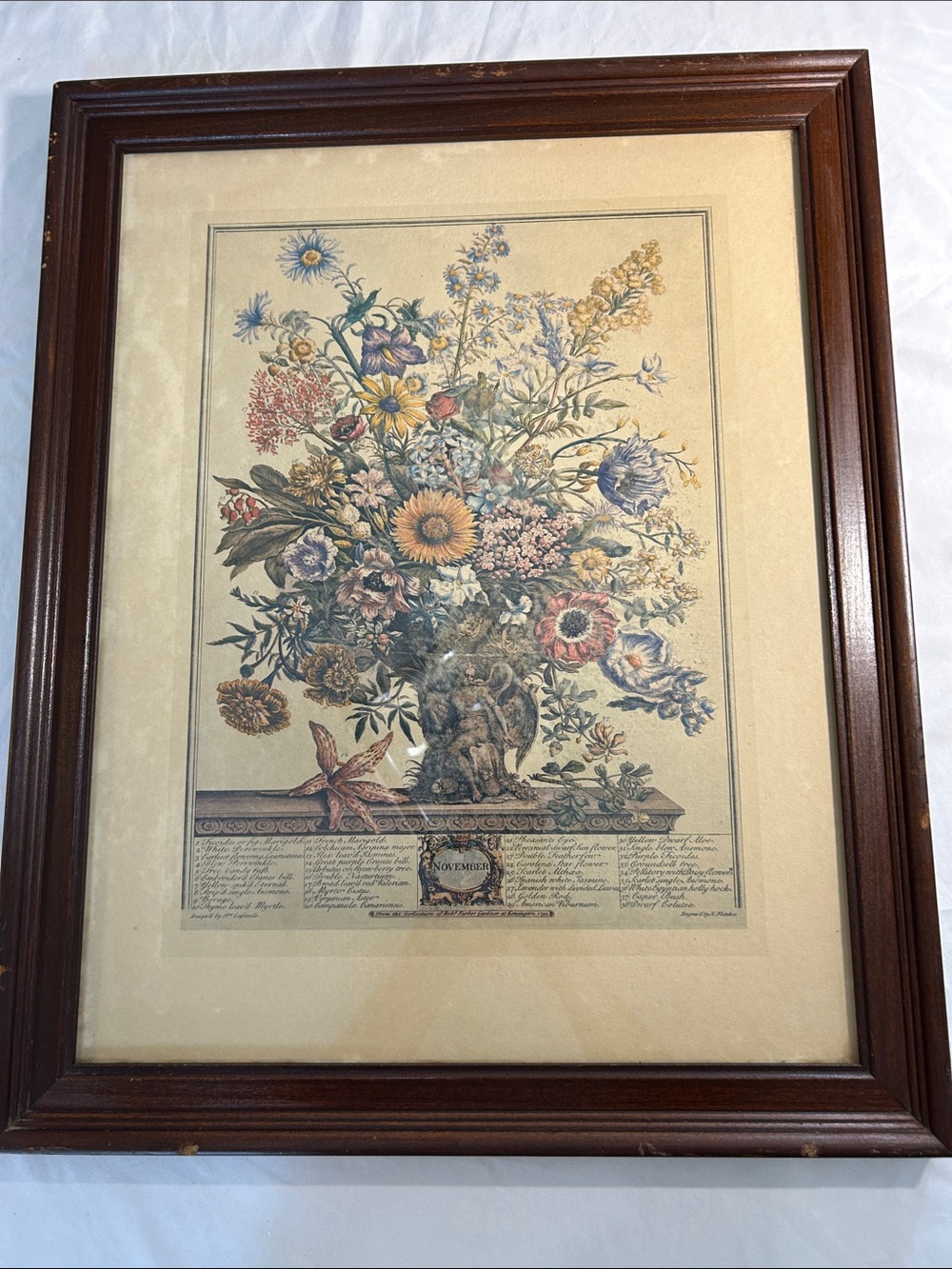 Vintage Robert Furber NOVEMBER 12 Months of Flowers Print in Ethan Allen Frame